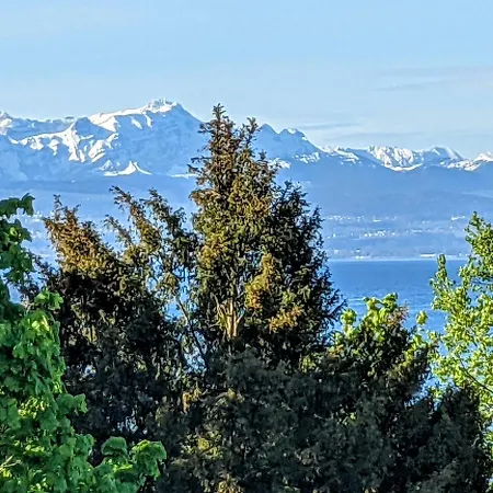 Vera & Lea Friedrichshafen